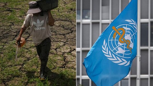 Understanding the Escalating Impact of El Niño: A Global Concern