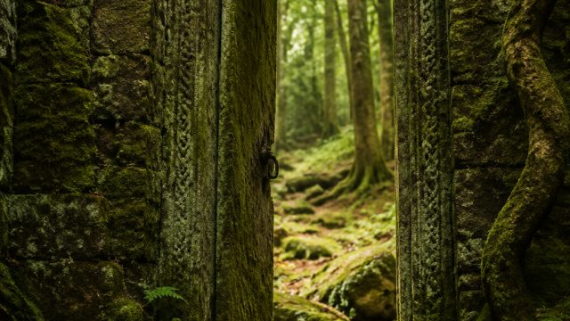 Exploring Mystery and Memory in 'The Door in Penrose Forest'