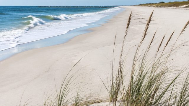Discover Dauphin Island: The Gulf Coast's Best-Kept Secret